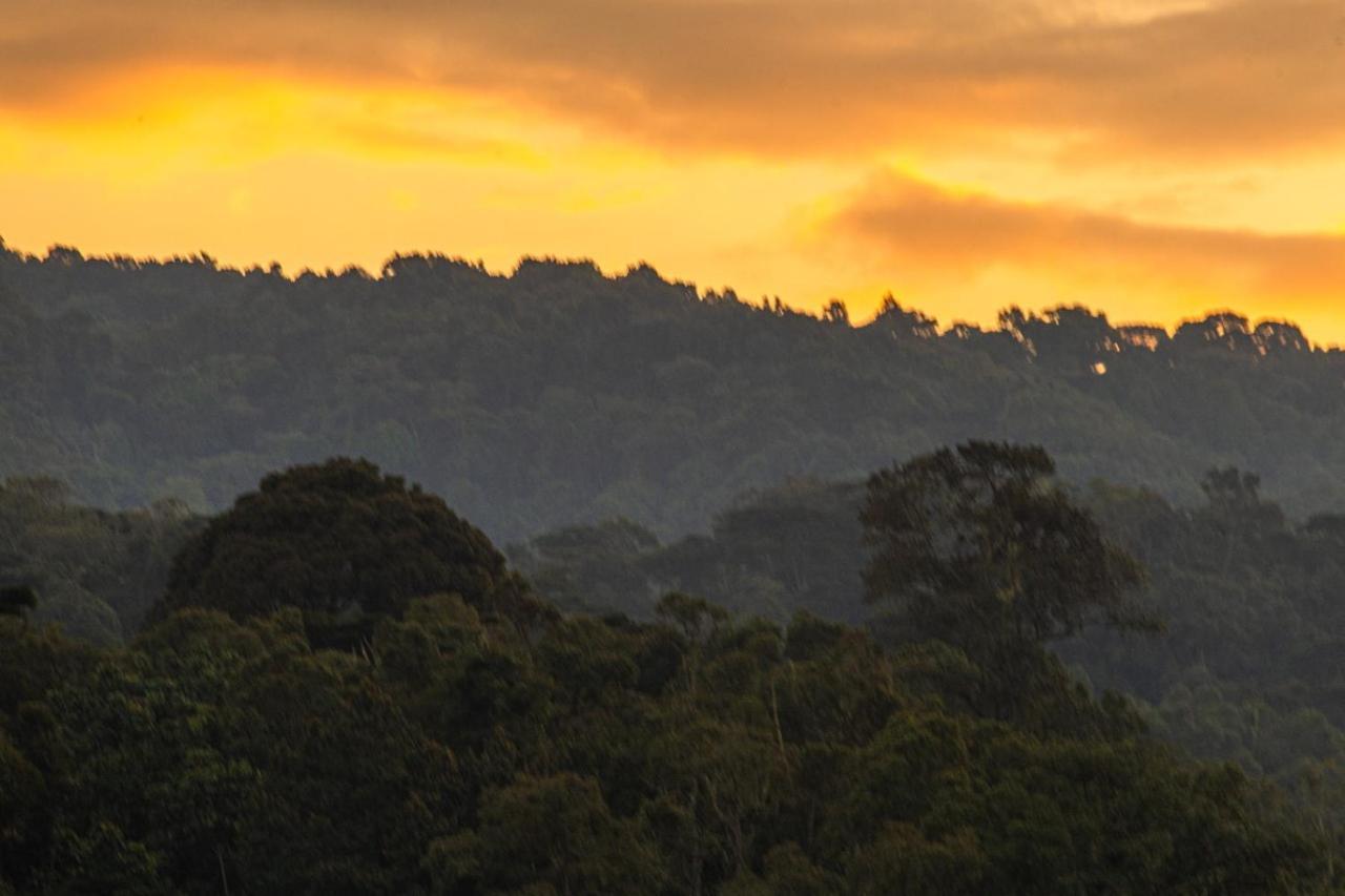 Gorilla Safari Lodge Rubuguli ภายนอก รูปภาพ