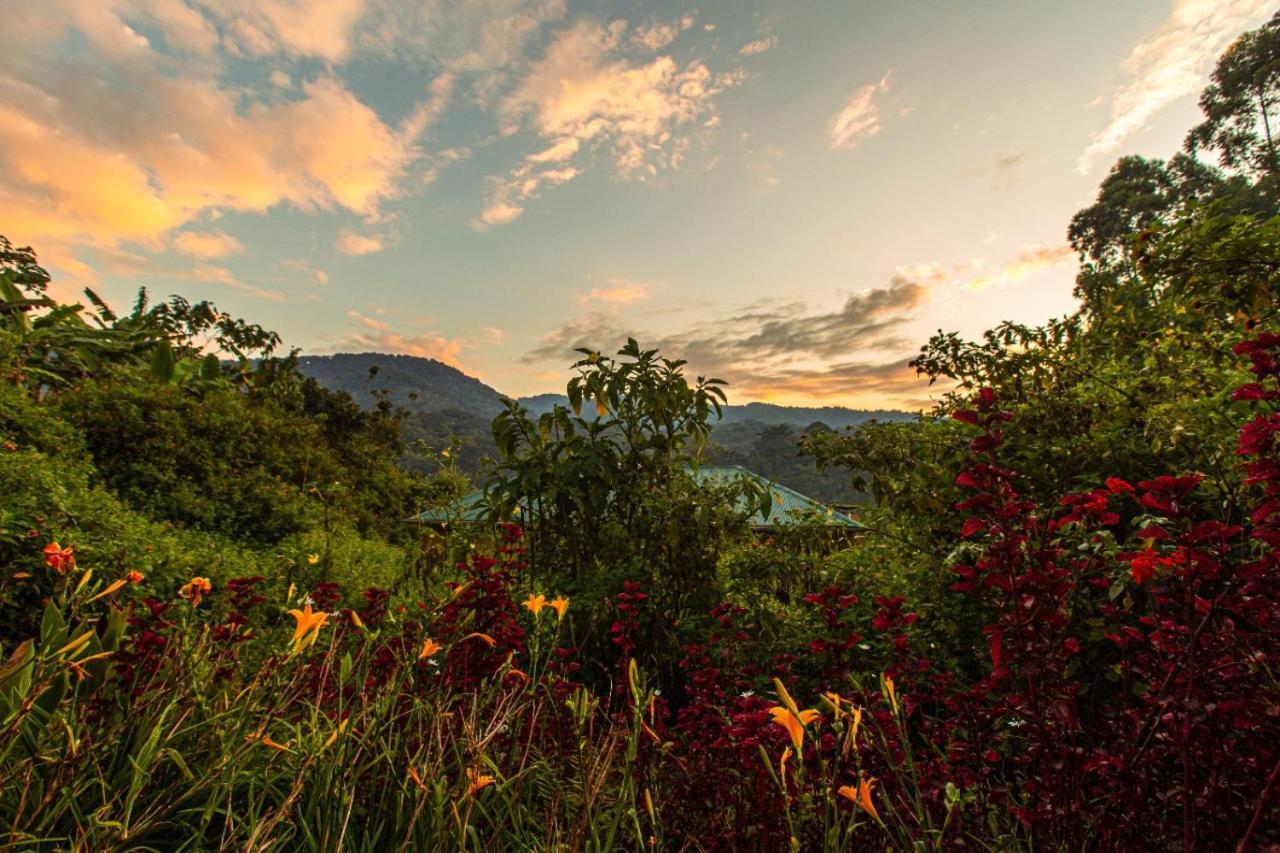 Gorilla Safari Lodge Rubuguli ภายนอก รูปภาพ
