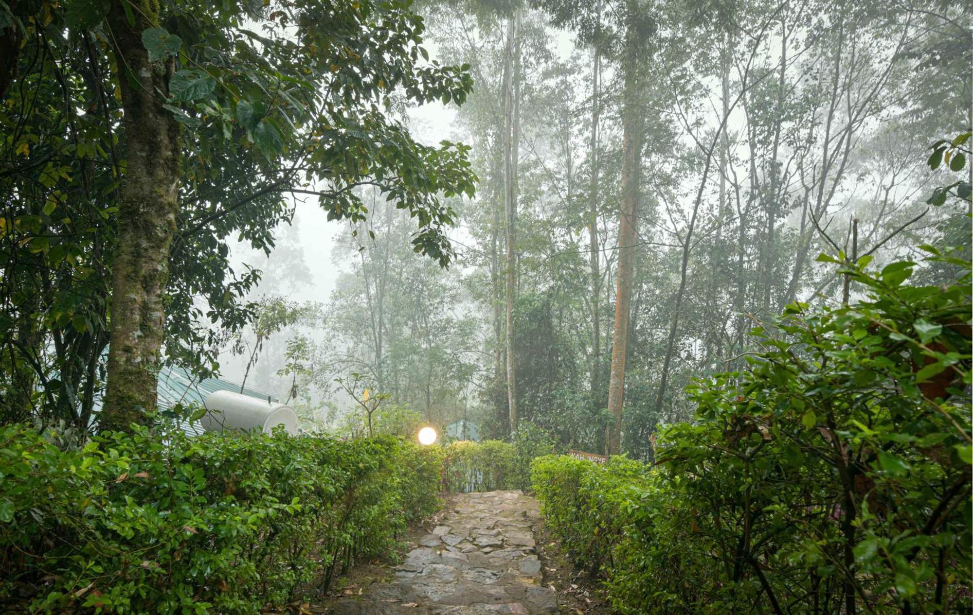 Gorilla Safari Lodge Rubuguli ภายนอก รูปภาพ