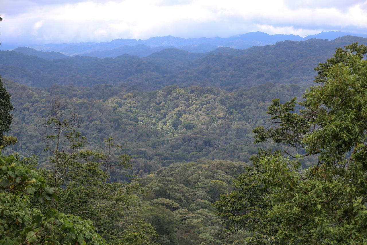 Gorilla Safari Lodge Rubuguli ภายนอก รูปภาพ