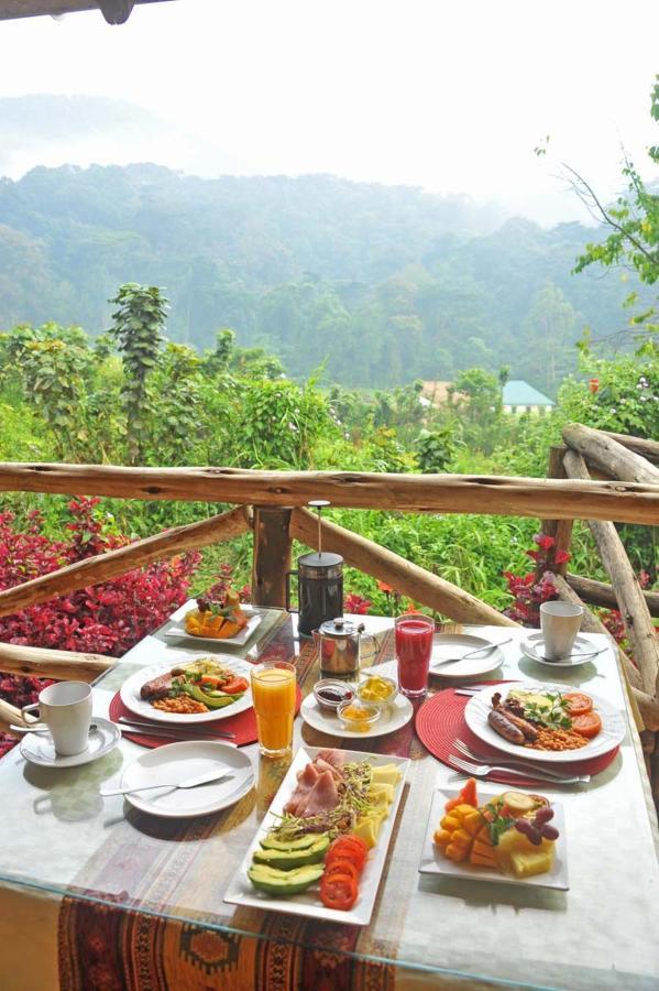 Gorilla Safari Lodge Rubuguli ภายนอก รูปภาพ