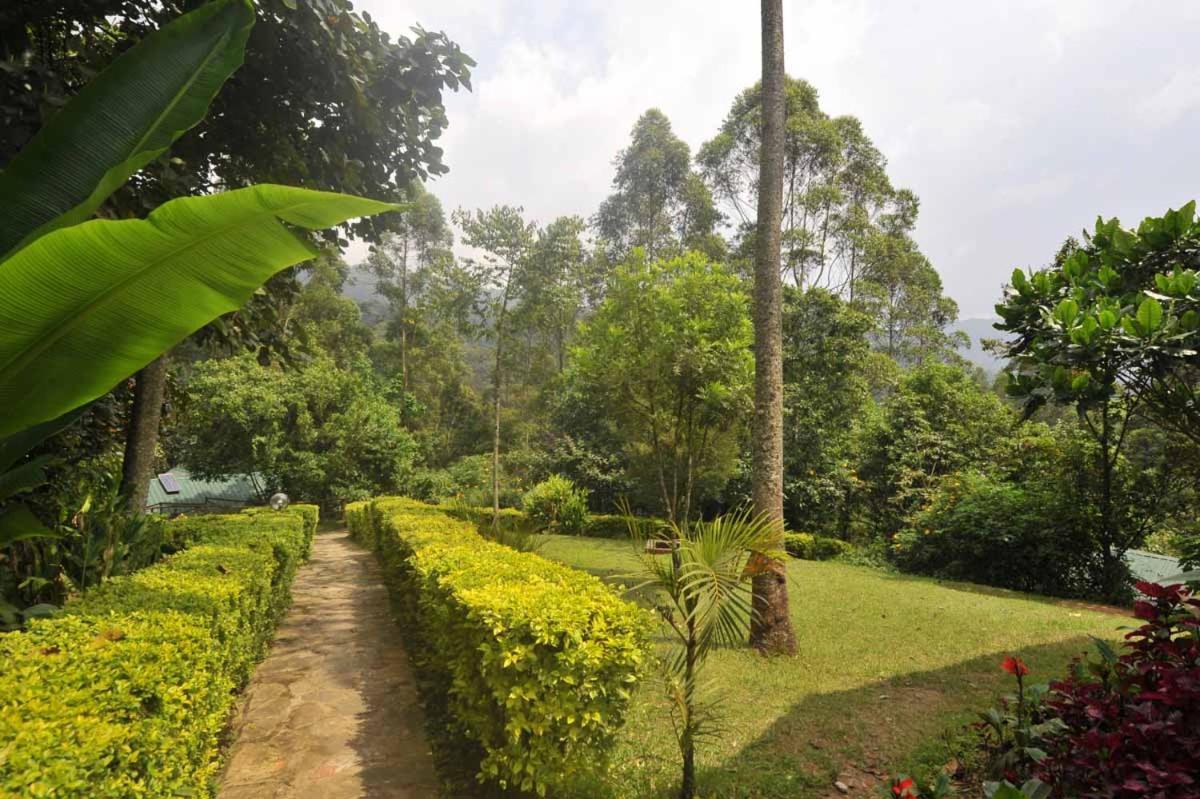 Gorilla Safari Lodge Rubuguli ภายนอก รูปภาพ